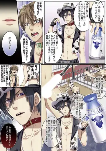 [Kairi] Osuchichi 801 Bokujou de Sakunyuu Taiken Fhentai - Page 17