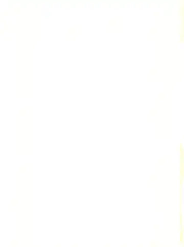 [Studio Awake Fhentai - Page 83