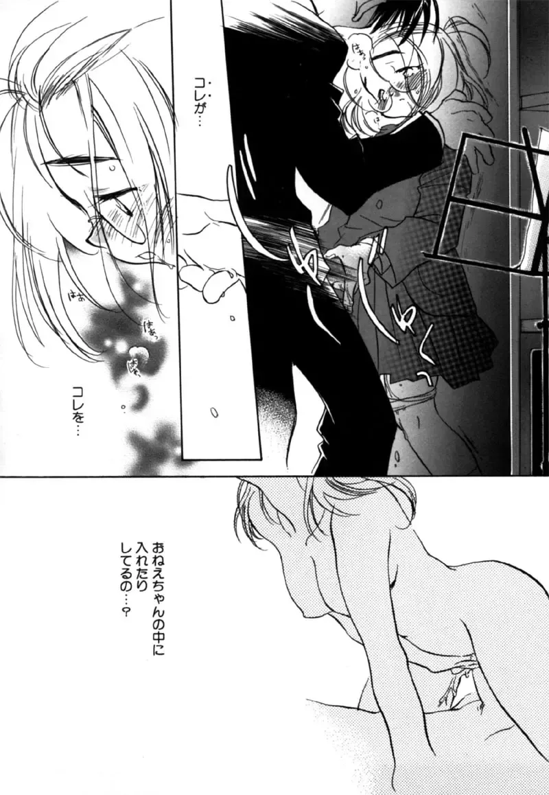 [Nawoko] Different View Fhentai - Page 64