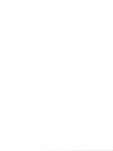 [Mage - Suzusato Rinka] Jajauma ni nacchau! (Ranma 1/2) + phamphlet Fhentai - Page 37