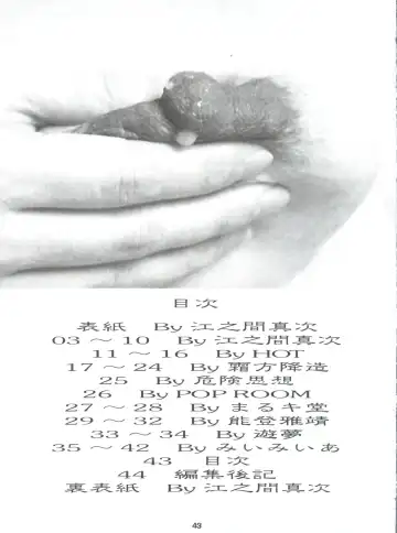 RHF vol.34 Jutai Koku Chi 3 Fhentai - Page 42