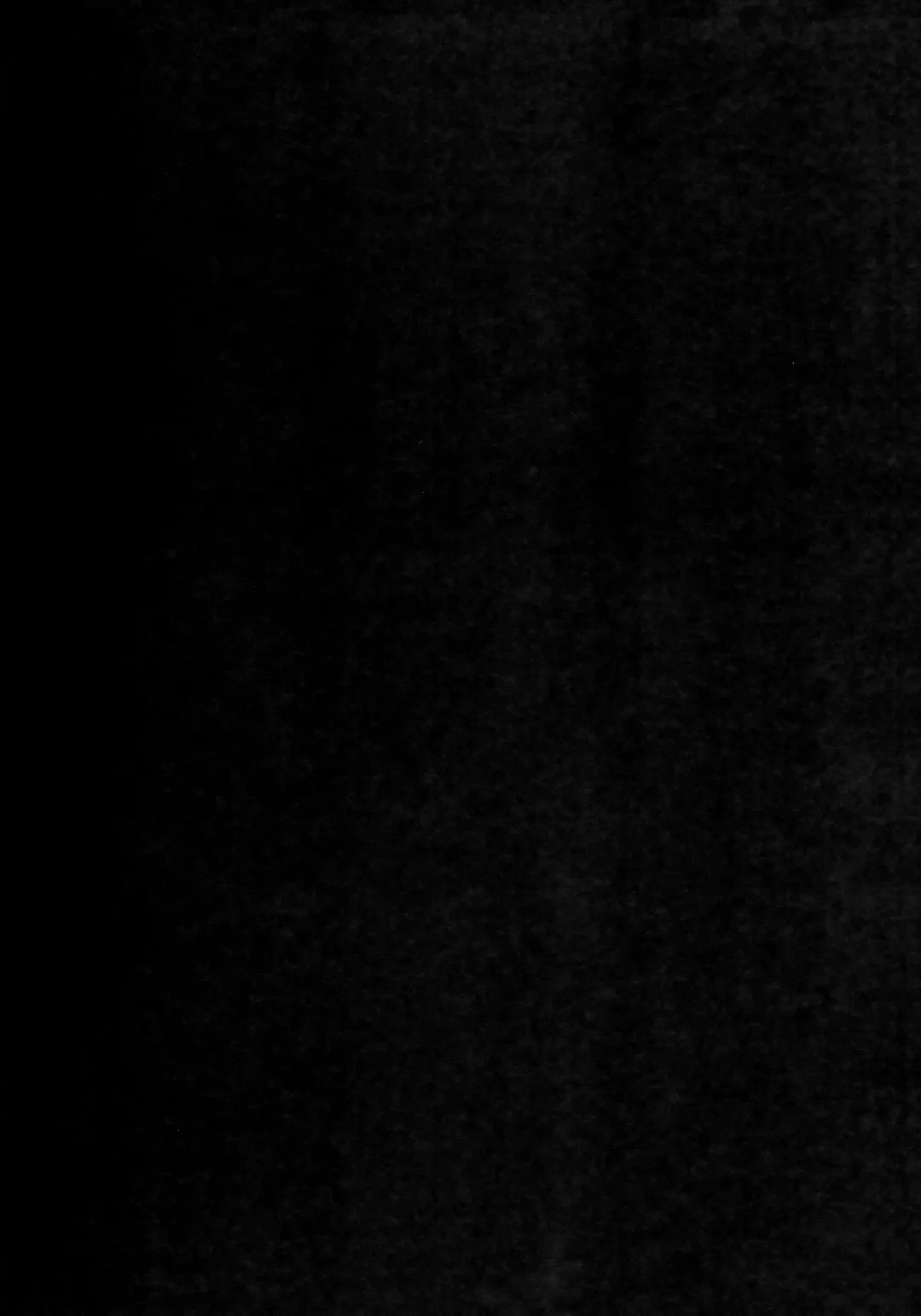 [Ichino - Yuyu] Kawaisounako Soushuuhen 2 Fhentai - Page 28