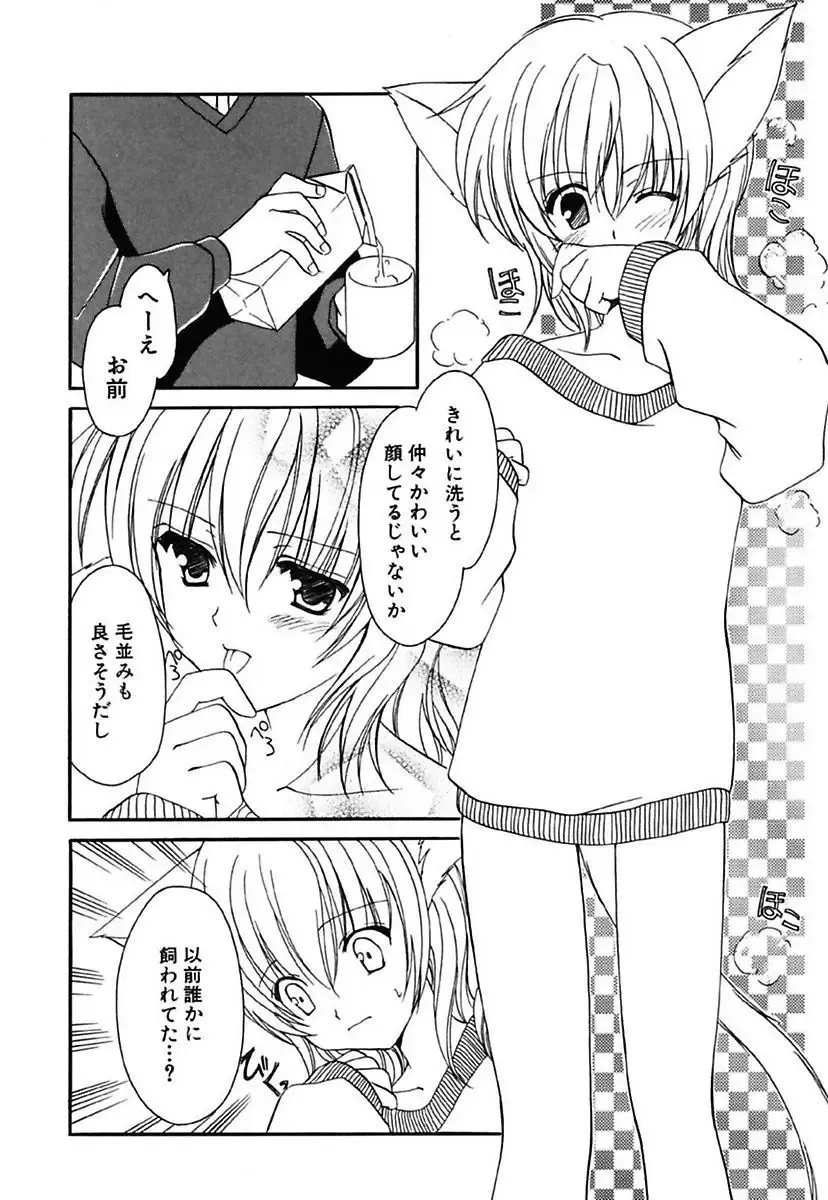 [Amou Mari] Onnanoko Tsuushin Fhentai - Page 152