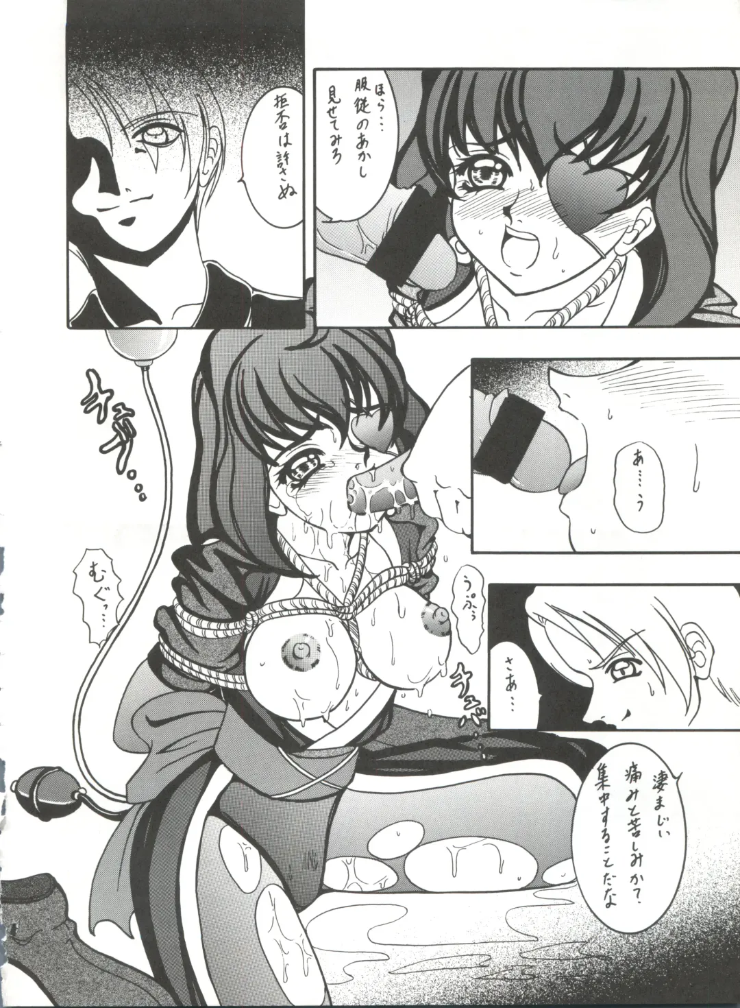 [Kikusui] Sword Dancer Fhentai - Page 14