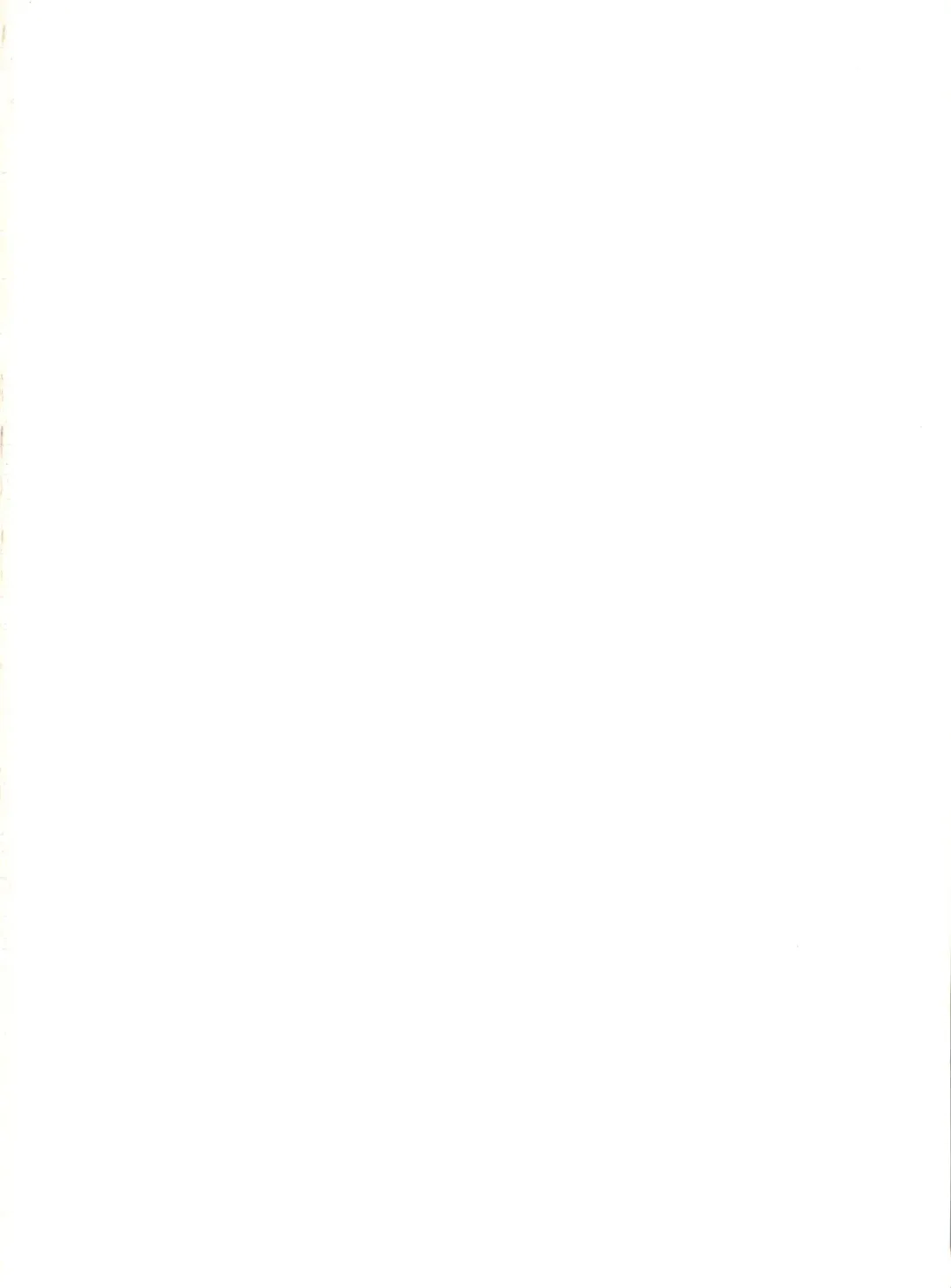 [Kikusui] Sword Dancer Fhentai - Page 2