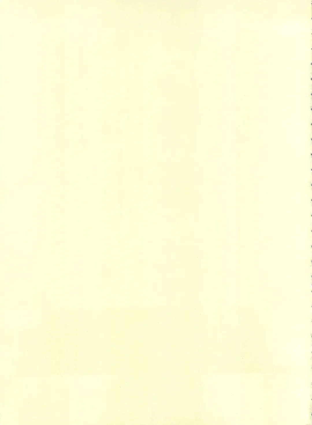 [Kikusui] Sword Dancer Fhentai - Page 3