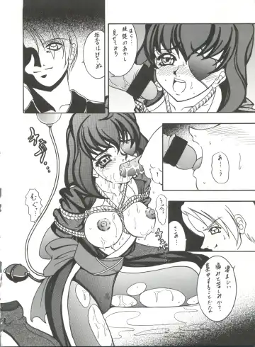 [Kikusui] Sword Dancer Fhentai - Page 14