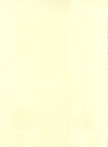 [Kikusui] Sword Dancer Fhentai - Page 3