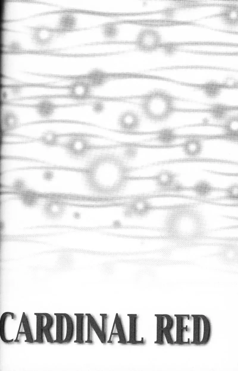 [K. Haruka - Sakura Makoto] Anklet | Restraint Fhentai - Page 29