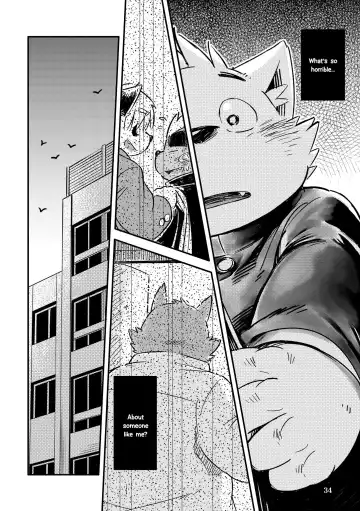 [Kinoshita Jiroh - Lindong] Mekko Rarekko Ge Fhentai - Page 33