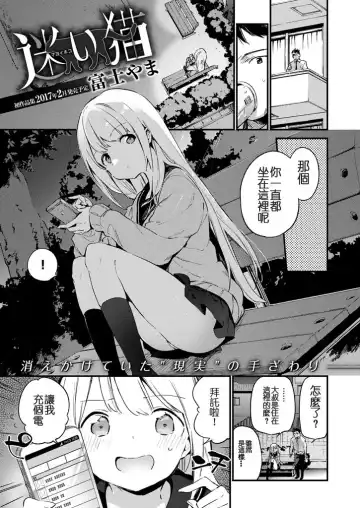 [Fujiyama] Mayoi Neko Fhentai - Page 2