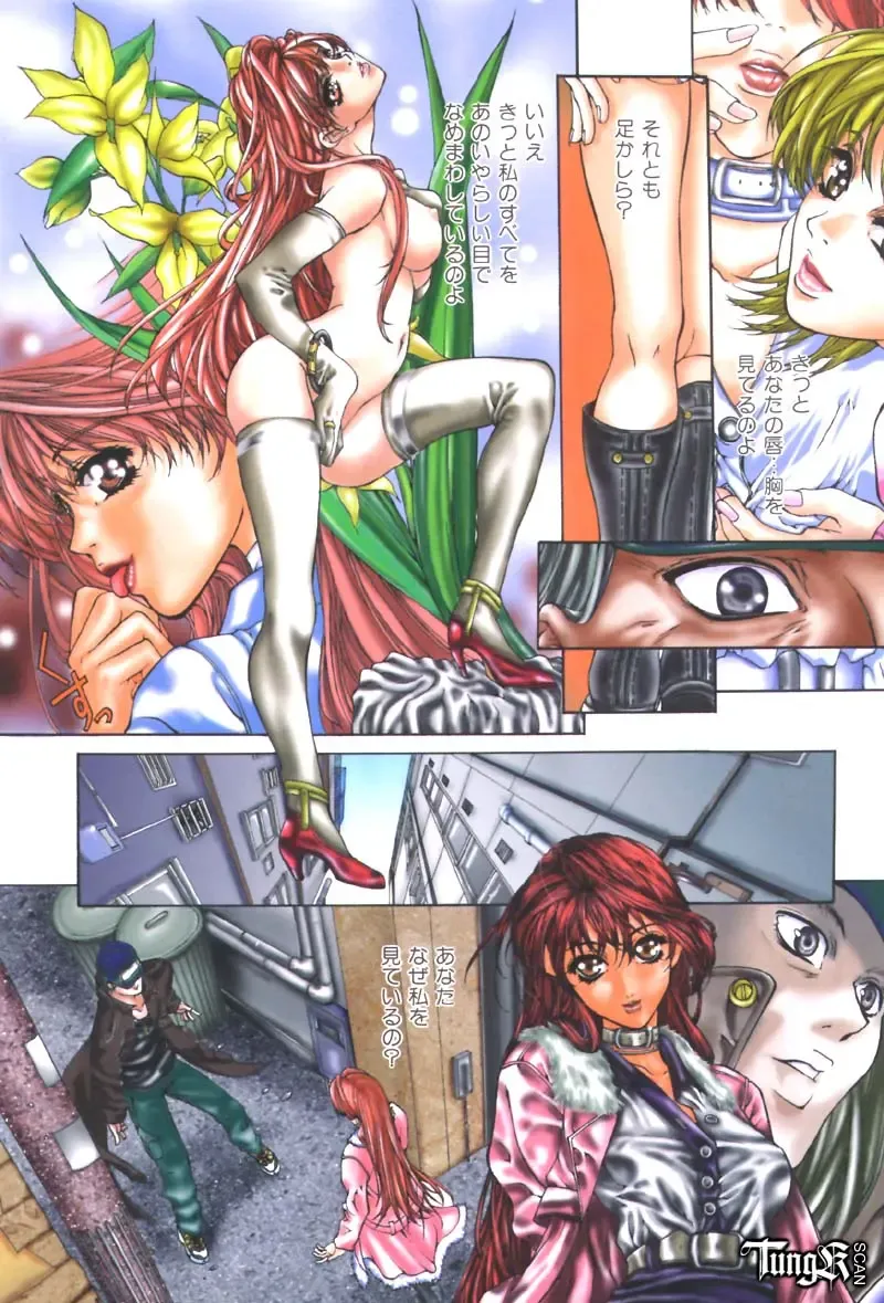 [Fujima Takuya] Judgement Fhentai - Page 8