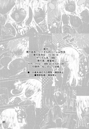 [Aoi Mikan] Rito-san no Harem Seikatsu Fhentai - Page 29
