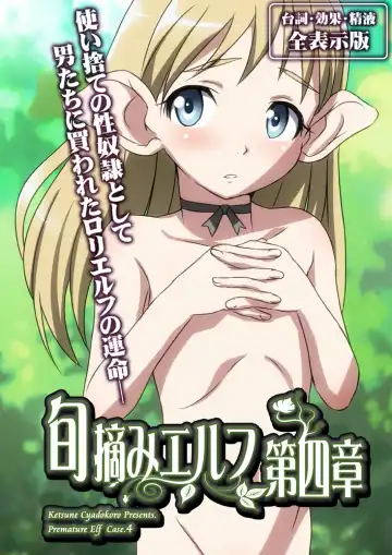 Read [Ketsune] Shuntsumi Elf Daiyonshou - Fhentai