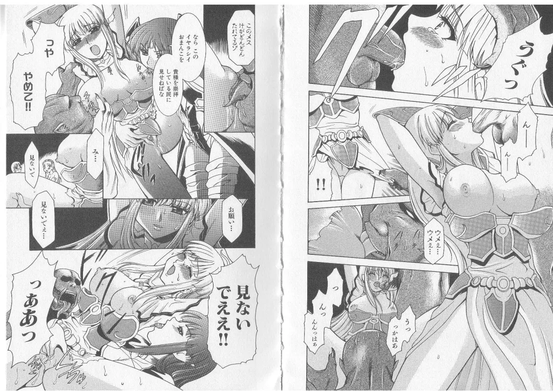 Ikusa Otome Valkyrie 'Anata ni Subete wo Sasagemasu' Fhentai - Page 10