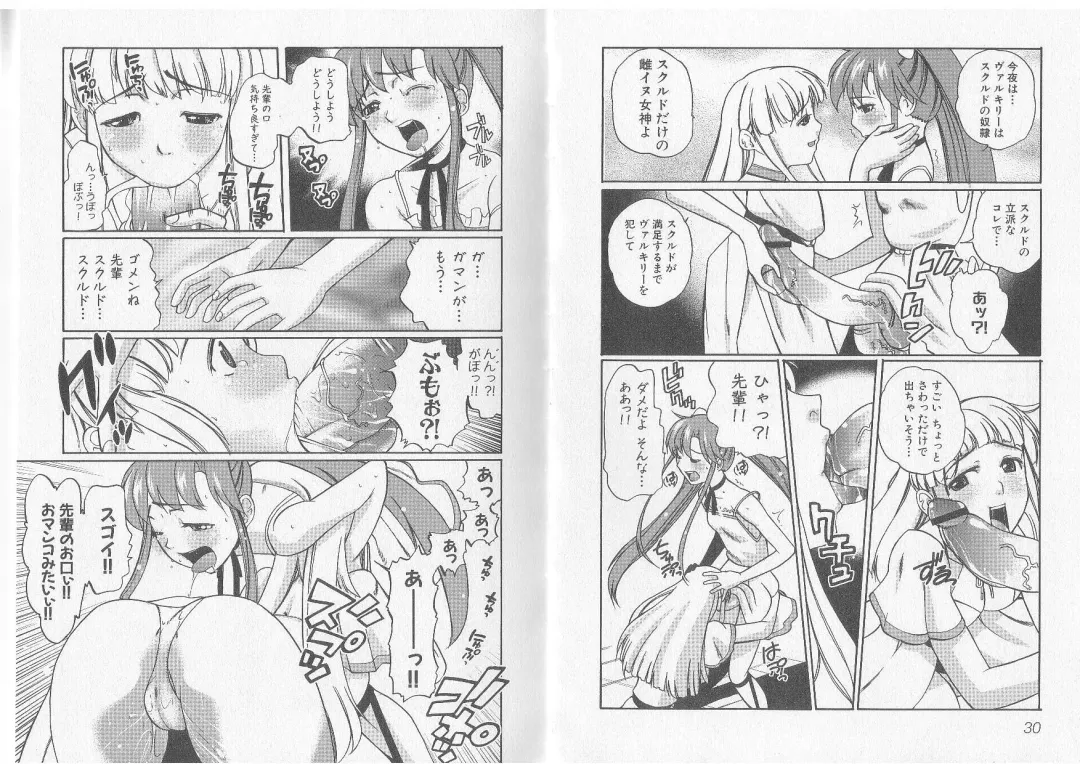 Ikusa Otome Valkyrie 'Anata ni Subete wo Sasagemasu' Fhentai - Page 17