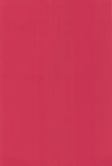 [Masago] Musashi-san to Hime Hajime Fhentai - Page 3