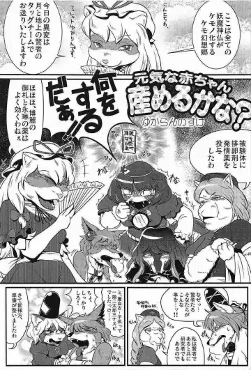 Touhou PLUMFUR 2 Fhentai - Page 4