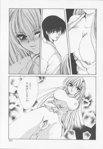 [Arisaka Atsumi] Himitsu Densha Fhentai - Page 67