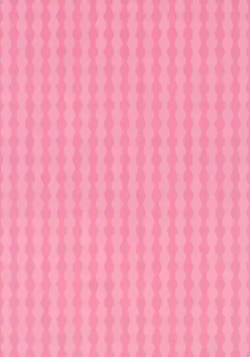 [Oyari Ashito] ORDER*MAID*SISTERS Jougasaki Shimai to Maid SEX Suru Hon Fhentai - Page 4