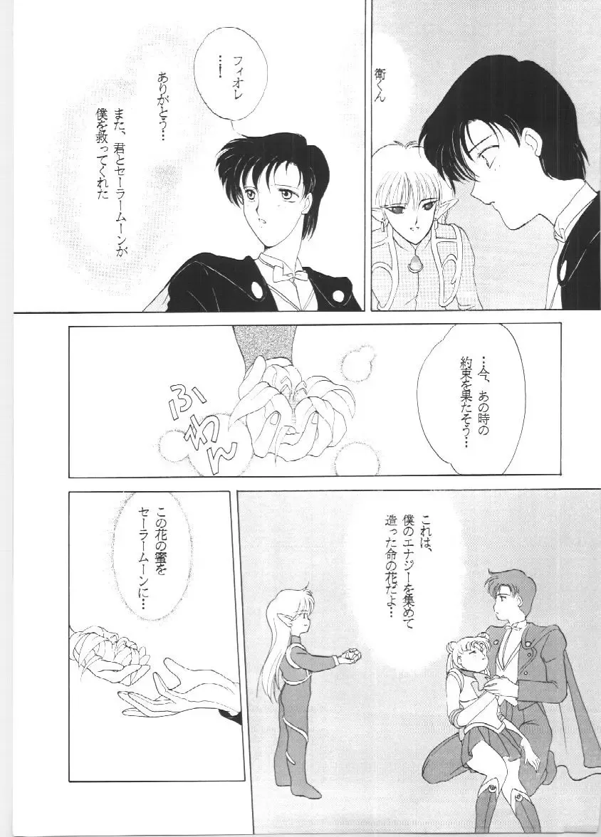 [Tatsuneko] SAILORS EX VERSION Fhentai - Page 49