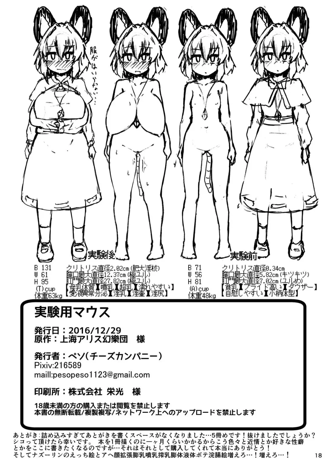 [Peso] Jikkenyou Nazrin Fhentai - Page 17