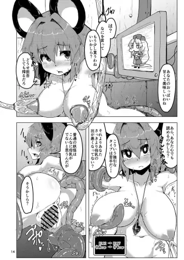 [Peso] Jikkenyou Nazrin Fhentai - Page 13
