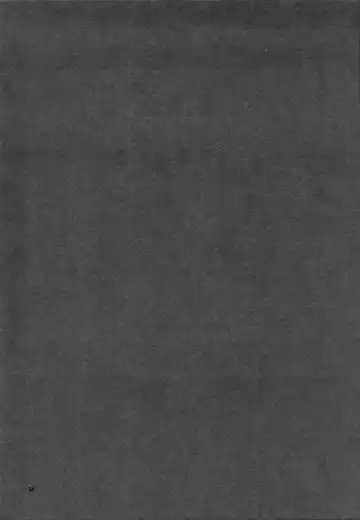 [Sanpatisiki] Houyoku Fhentai - Page 34