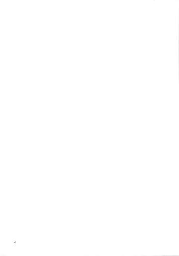 [Sanpatisiki] Houyoku Fhentai - Page 4