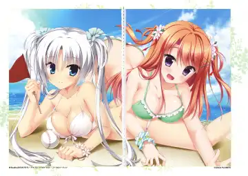 [Kobuichi - Muririn] Senren*Banka Official Visual Fan Book Fhentai - Page 5