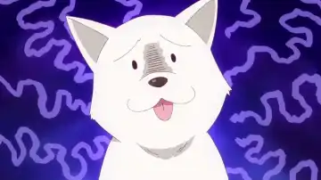 [Hattori Mitsuka] Ingaouhou ~Kyousei Ishu Koubi~ Fhentai - Page 19