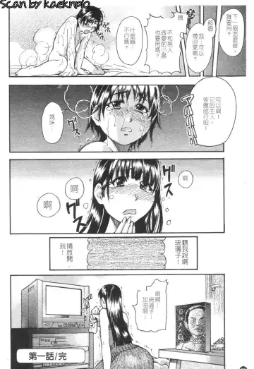 [Shiwasu No Okina] Sei Sou Tsui Dan Sha Fhentai - Page 57