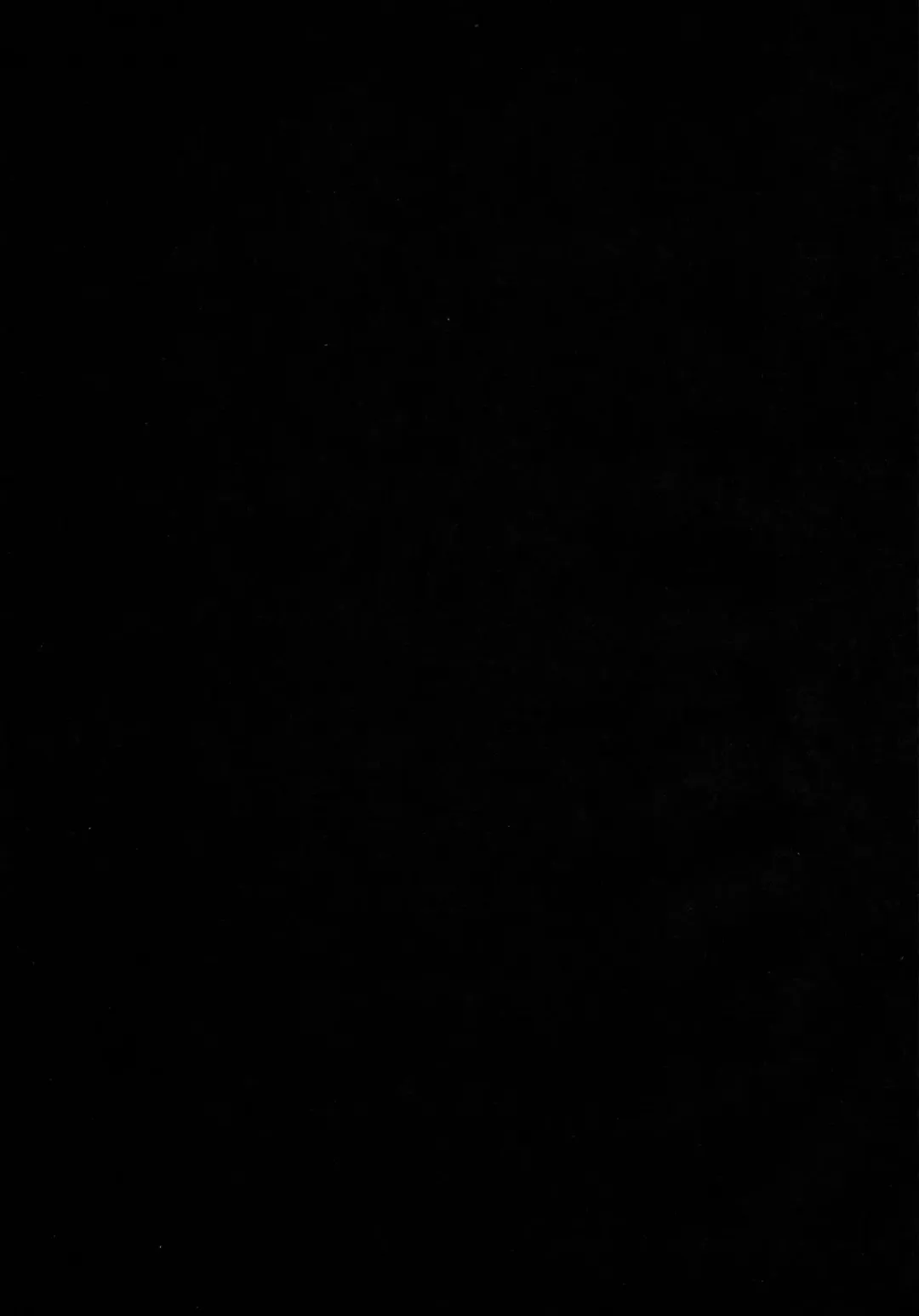 [Inari] Shucchou! Shimakaze-kun no Heya ~Josou CabaClu Hen~ Fhentai - Page 24