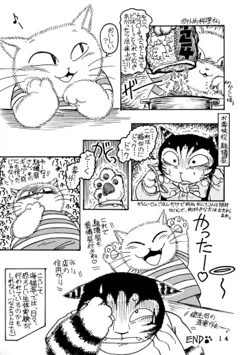 [Chibineco Master - Scope Cat] Uminekotei Soushuuhen Fhentai - Page 14