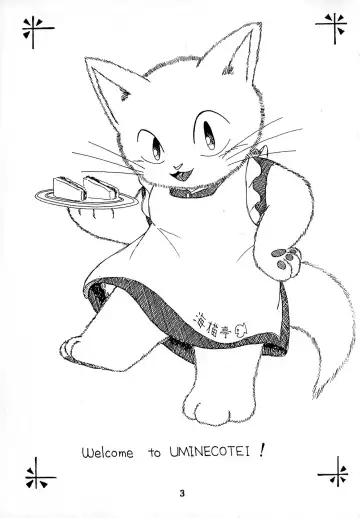 [Chibineco Master - Scope Cat] Uminekotei Soushuuhen Fhentai - Page 3