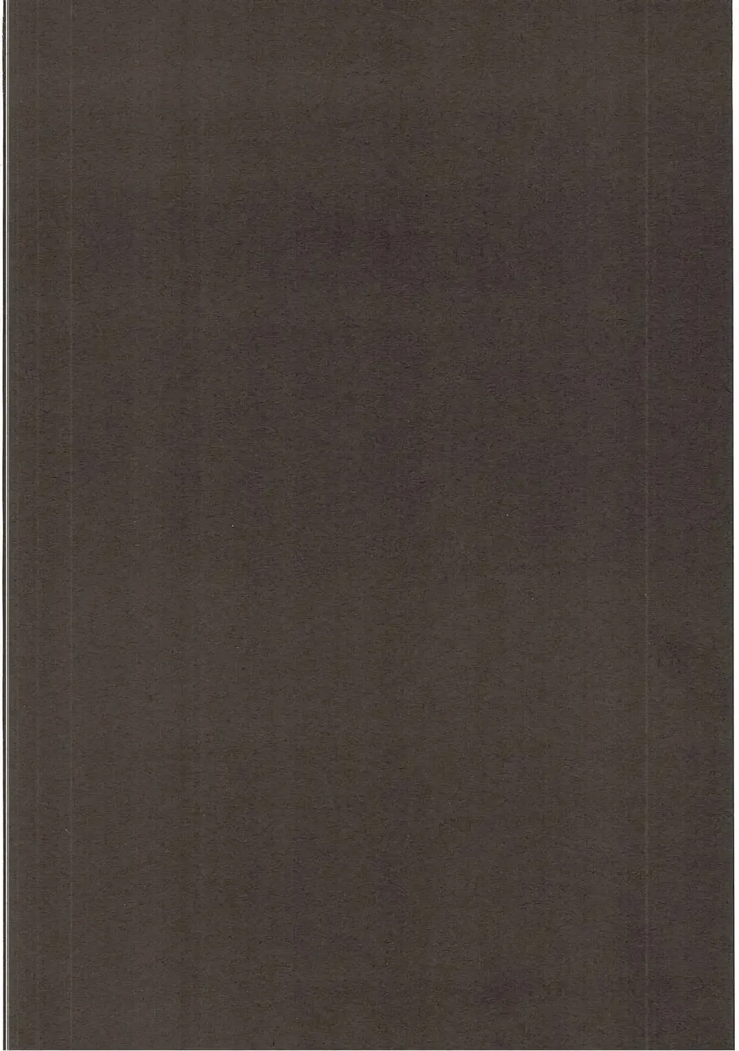 [Mirino] Suwa Nee-chan Datte Amaetain Da zo! Suwashota Bangaihen 7 Fhentai - Page 3