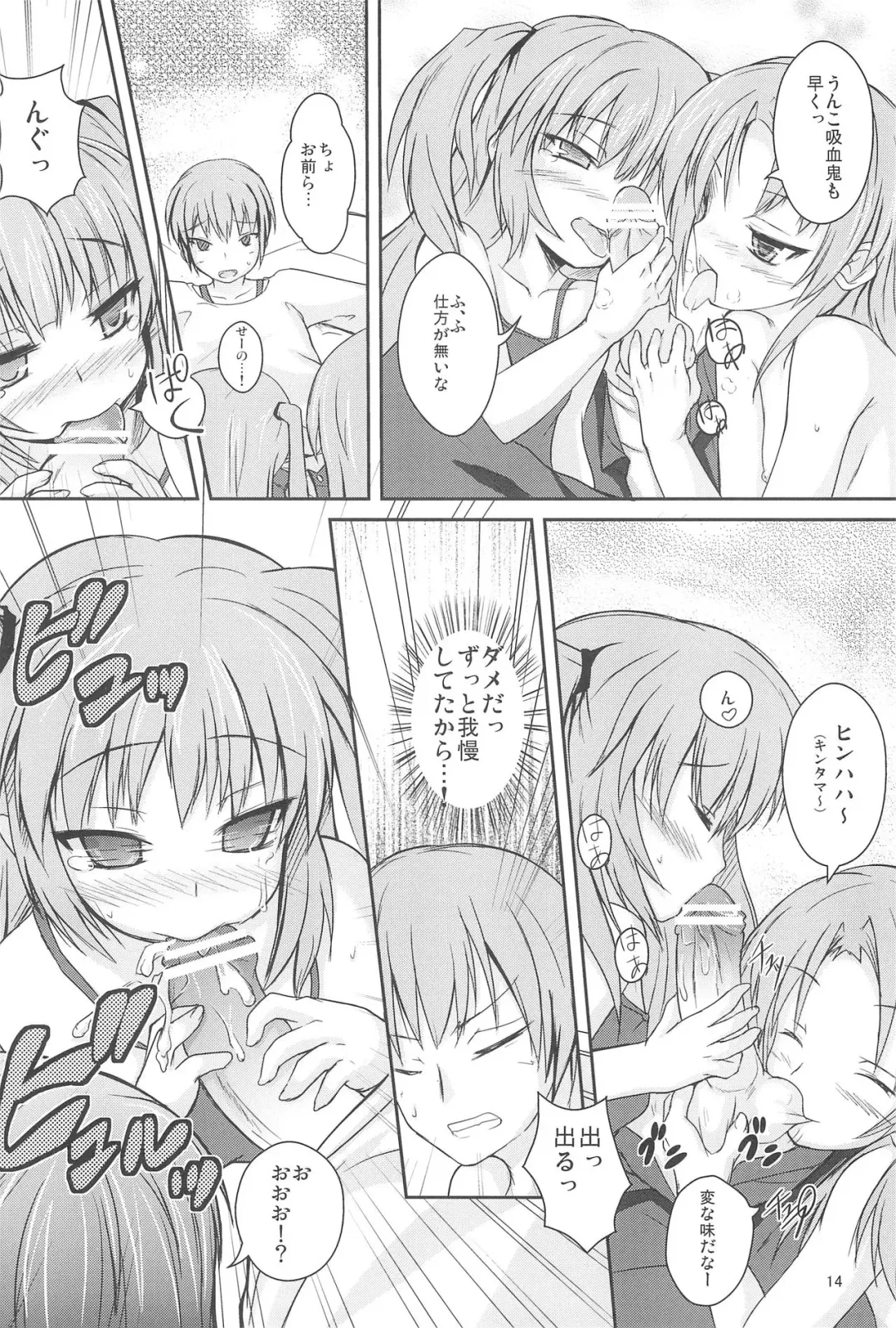 [Safi] Sister and Sister Fhentai - Page 14