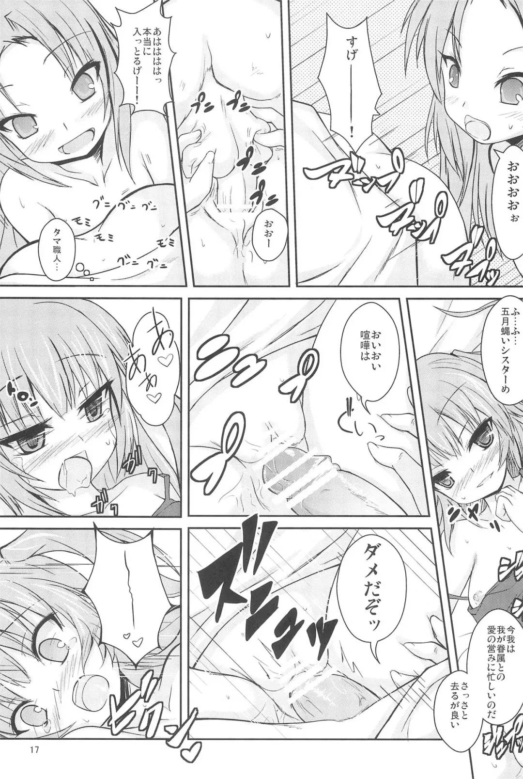 [Safi] Sister and Sister Fhentai - Page 17