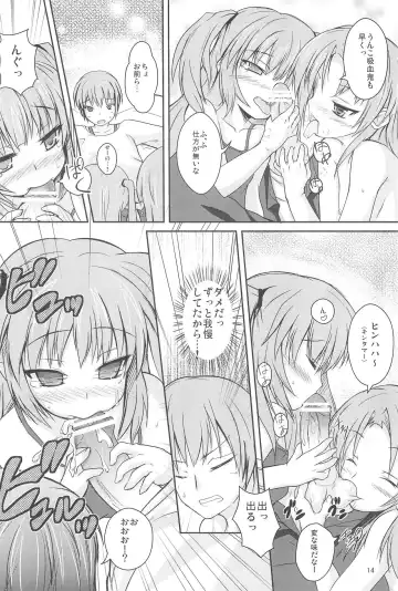 [Safi] Sister and Sister Fhentai - Page 14