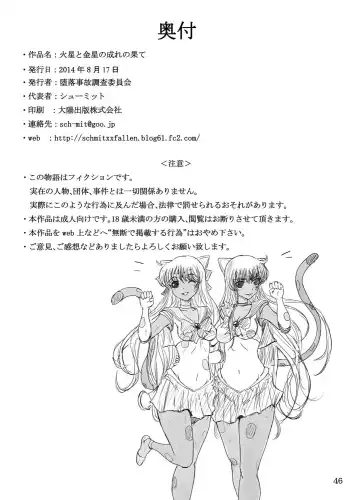 [Kokushi - Konshin - Sch-mit] Kasei to Kinsei no Nare no Hate Fhentai - Page 24