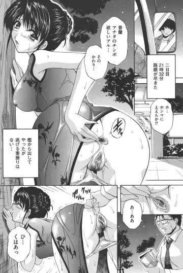 COMIC Dorei Ichiba Vol. 02 - The Slave Market Fhentai - Page 48