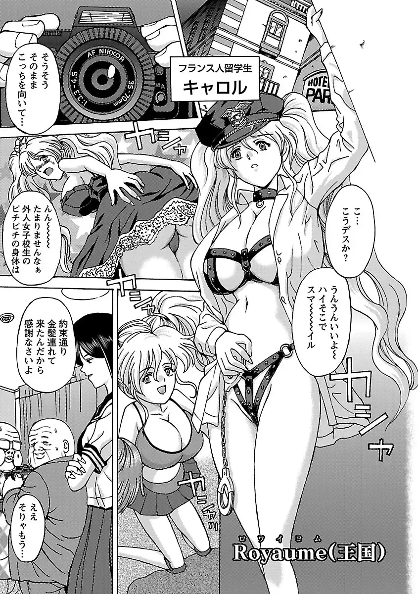 [Hasebe Mitsuhiro] Kinpatsu Bakunyuu Seisho - Blonde Rape Bible Fhentai - Page 45