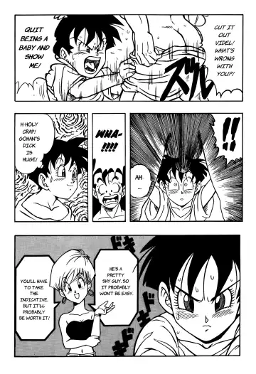 [Garland] Dragon Ball H - Gohan & Videl Fhentai - Page 14
