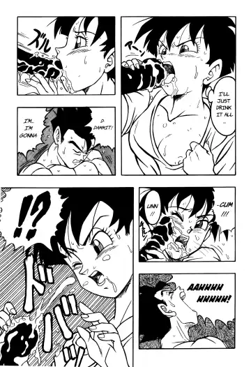 [Garland] Dragon Ball H - Gohan & Videl Fhentai - Page 16