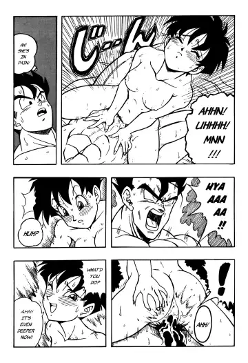 [Garland] Dragon Ball H - Gohan & Videl Fhentai - Page 22