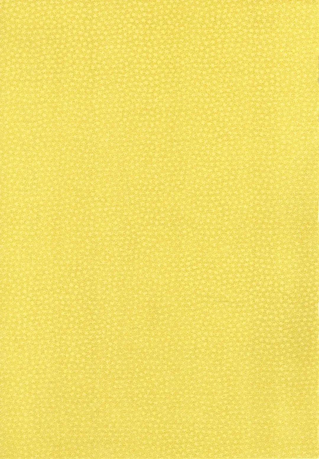 [Kyouichirou] Imouto to Hamete Dousunda Fhentai - Page 2