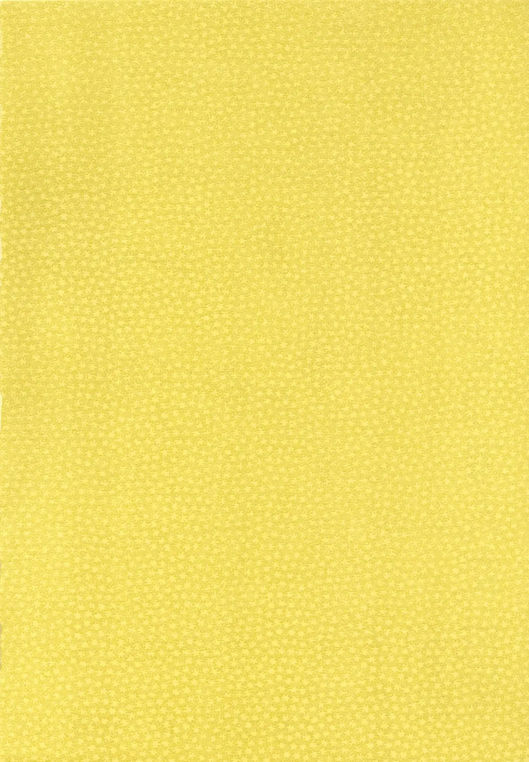 [Kyouichirou] Imouto to Hamete Dousunda Fhentai - Page 27