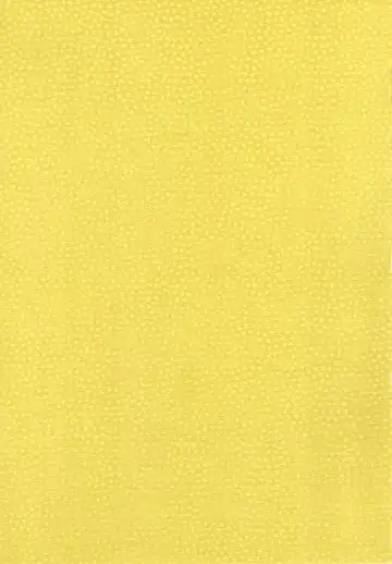 [Kyouichirou] Imouto to Hamete Dousunda Fhentai - Page 2