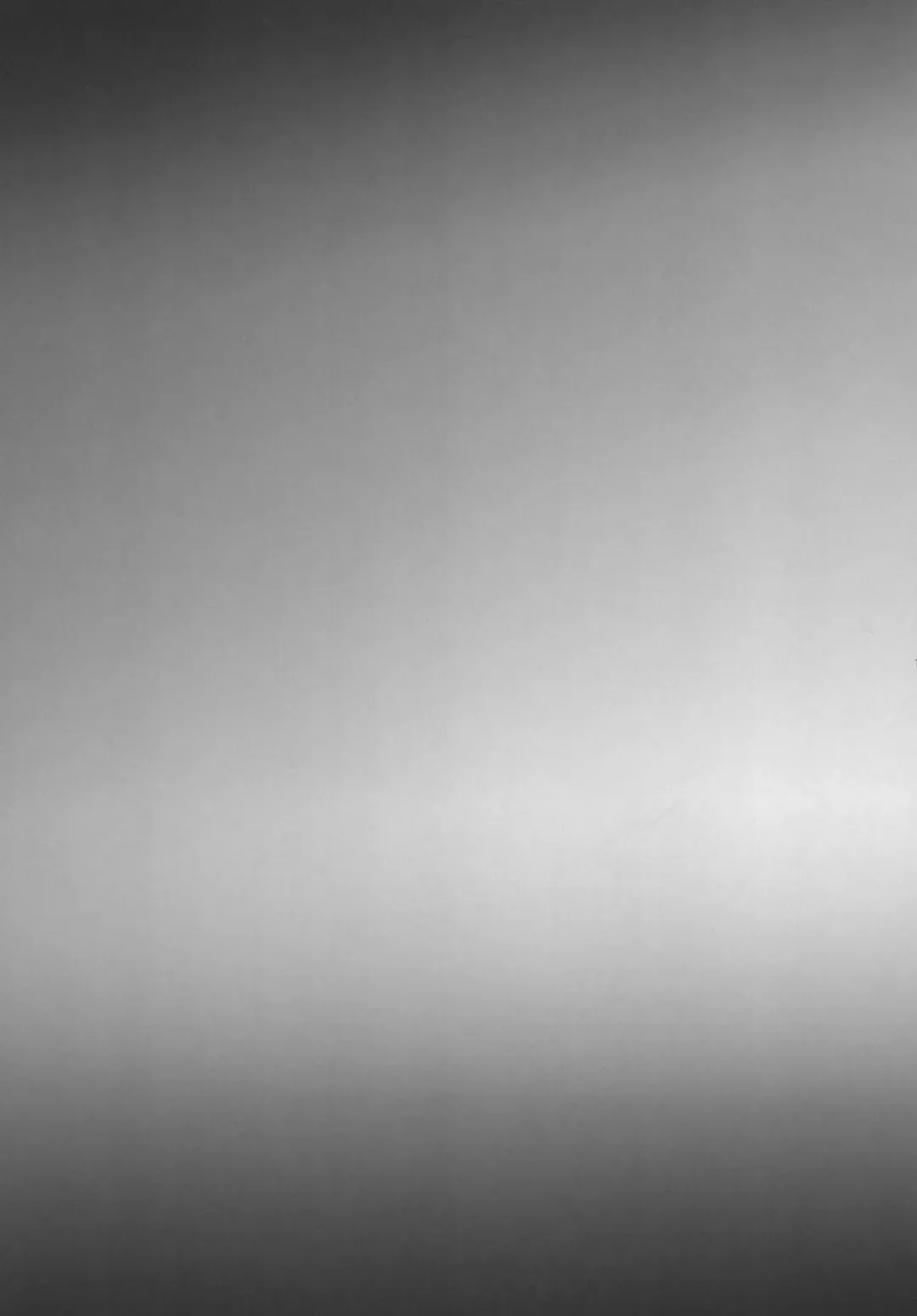 [Omecho] Shinobigoi Fhentai - Page 19