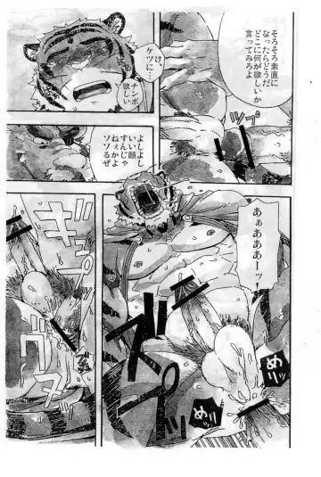 [Gamma - Mino] Choujuu Gasshin Build Tiger 01 Fhentai - Page 15